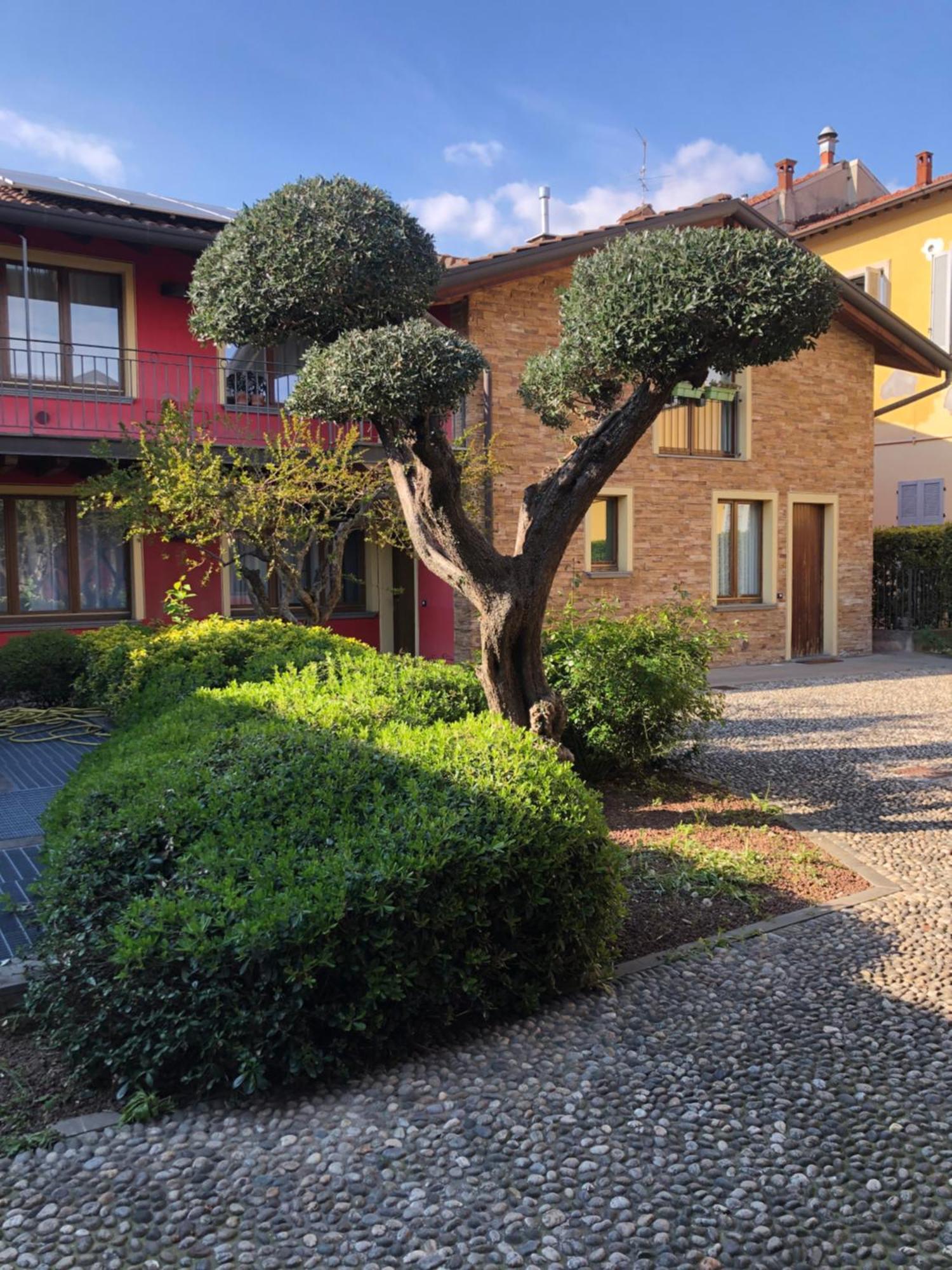 Bergamo Easy Airport Private Parking Lägenhet Exteriör bild